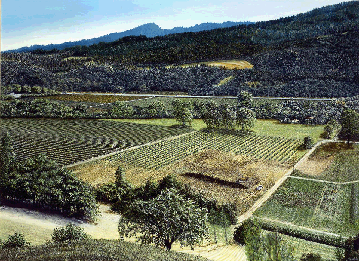 sterling vineyards landscape